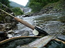 2007-06-15 132.JPG